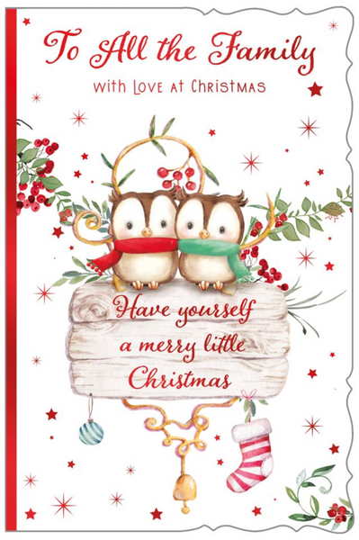 To all the family Christmas card- cute festive owls