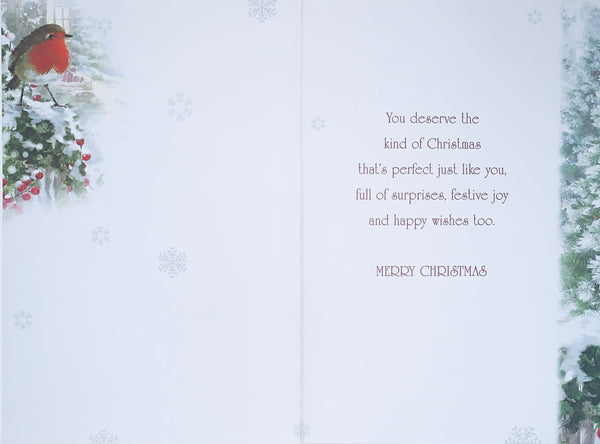 To both of you Christmas card- winter robin