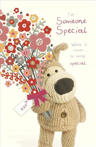 Someone Special birthday card - Boofle