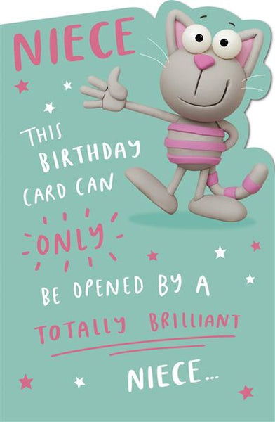 Funny Niece birthday card- Brilliant Niece