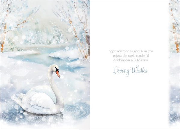 Special friend Christmas card - winter swan