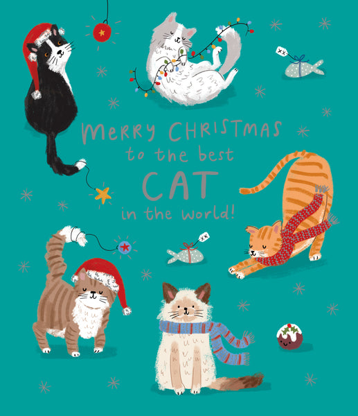 To the cat Christmas card