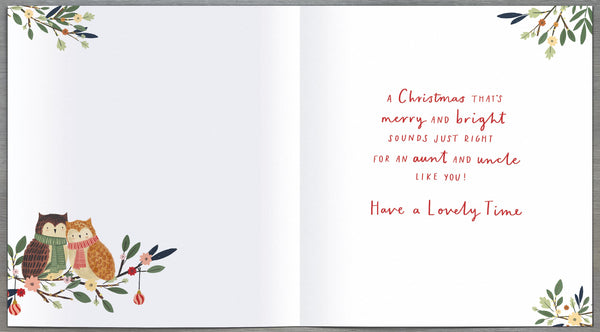 Auntie and Uncle Christmas card - cute owls
