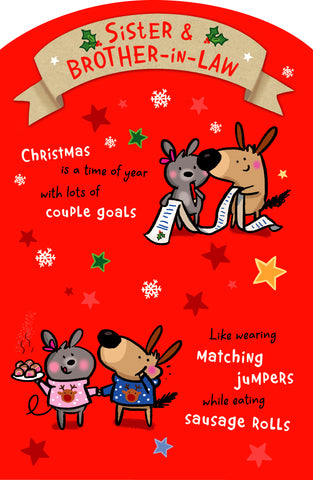 Sister and Brother in law Christmas card- funny