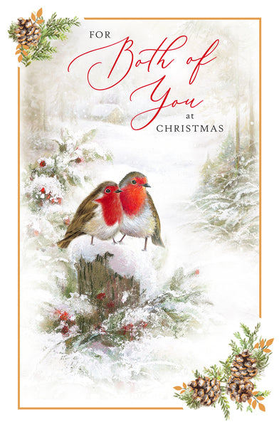 To both of you Christmas card - classic robins