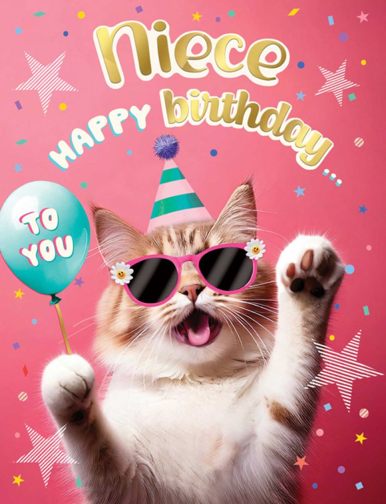 Niece birthday card- party cat