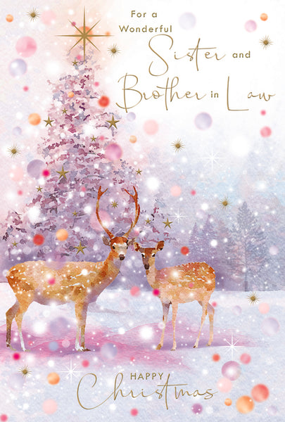 Sister and Brother-in-law Christmas card- reindeer