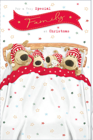 To a special family Christmas card- Boofle