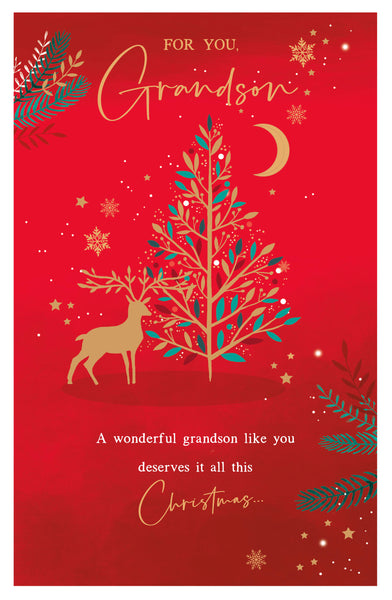 Grandson Christmas card - winter wonderland
