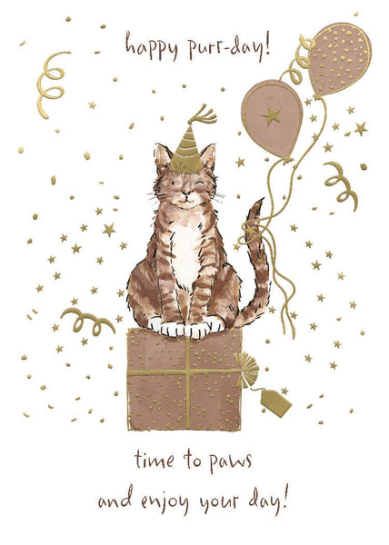 Cute cat birthday card - general birthday card