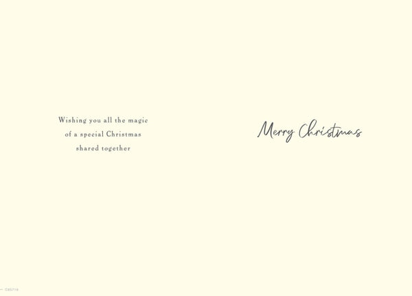 Sister and Brother-in-law Christmas card- festive scene