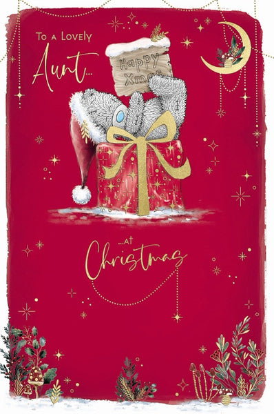 Me to you- Aunt Christmas card