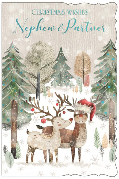 Nephew and Partner Christmas card - cute Xmas reindeers