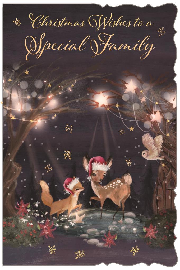 To a special family Christmas card- cute reindeers