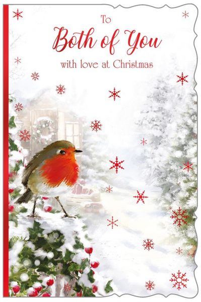 To both of you Christmas card- winter robin