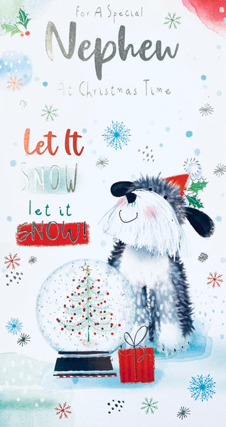 Nephew Christmas card- Xmas dog