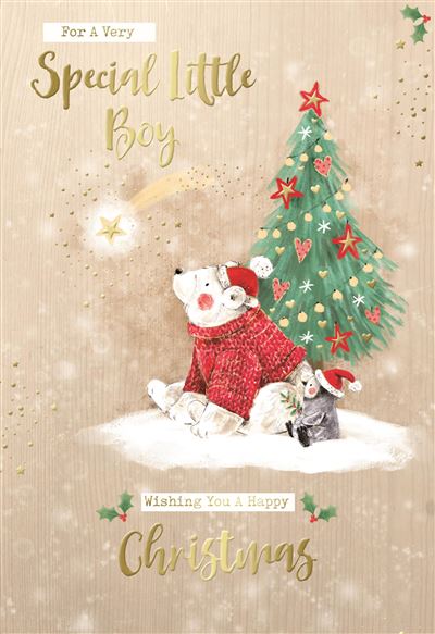 Special little boy Christmas card