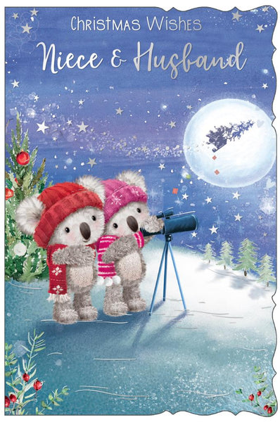 Niece and Husband Christmas card - cute bears