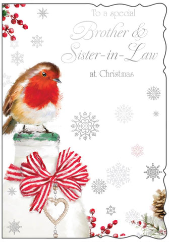 Brother and Sister in law Christmas card - Xmas Robin
