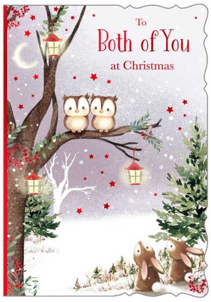 To both of you Christmas card- cute owls