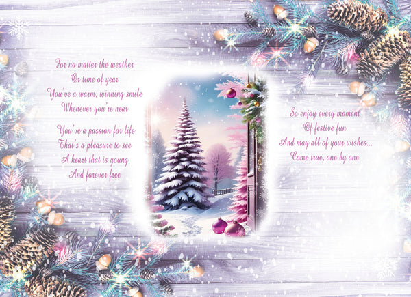 Niece Christmas card - loving verse