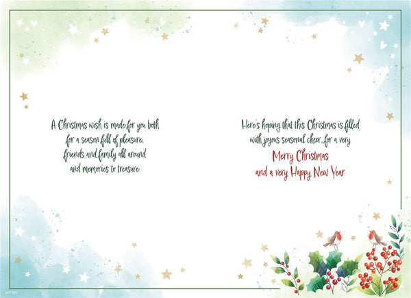 Brother and Partner Christmas card - Xmas robins