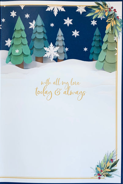 Me to you - Husband 3D Christmas card