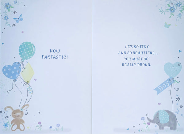 Birth of a baby boy card - cute animals