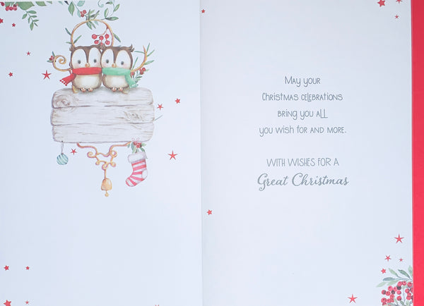 Nephew and Wife Christmas card - cute owls
