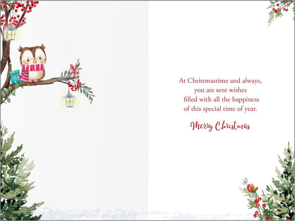 Granddaughter Christmas Card | Cute Owl & Red Foil Design