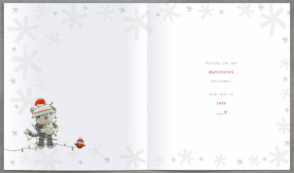 From the cat Christmas card - Boofle