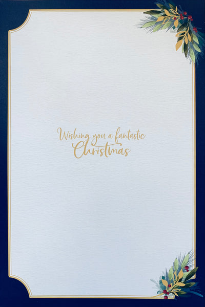 Me to you - Wonderful friend 3D Christmas card