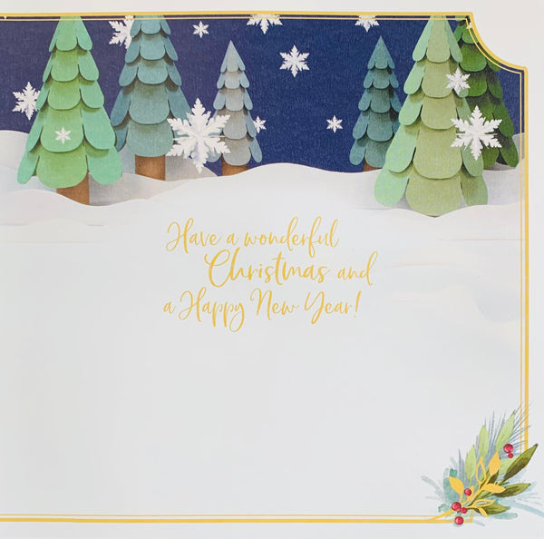 Me to you - General 3D Christmas card