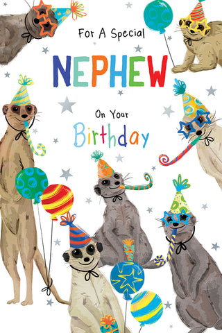 Nephew birthday card- meerkats