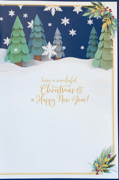 Me to you - 3D Sister Christmas card