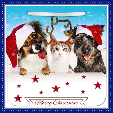 3D General Christmas card - cute cat and dogs