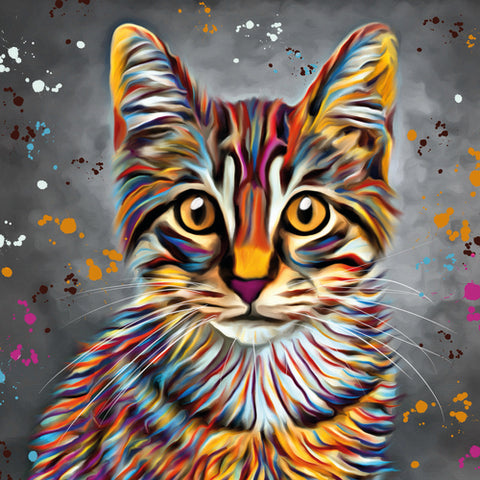 Blank card - Domestic cat