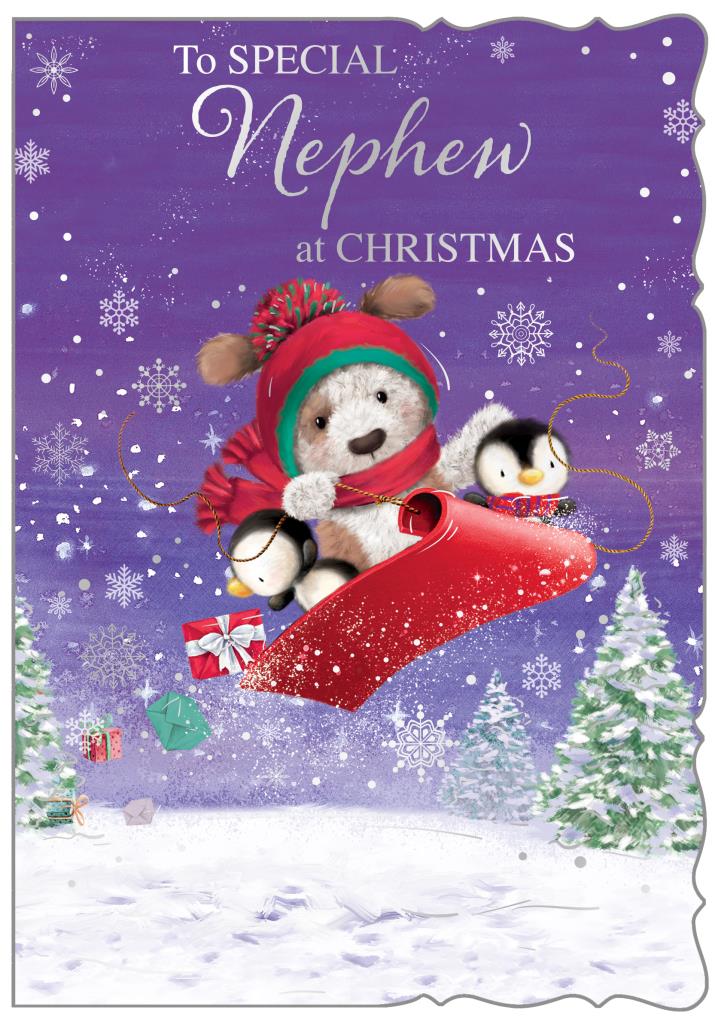 Nephew Christmas card - cute dog sledging