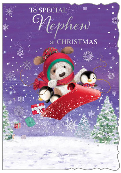 Nephew Christmas card - cute dog sledging