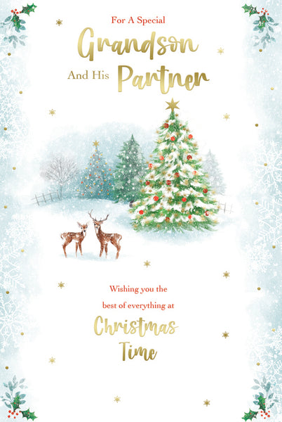 Grandson & Partner Christmas card - winter scene