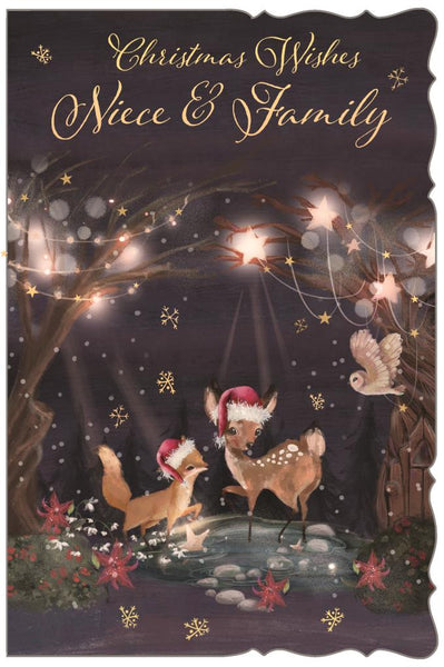 Niece and family Christmas card - cute