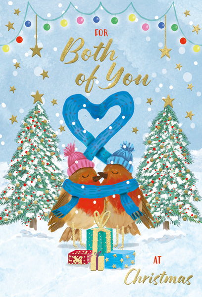 Both of you Christmas card - Cute robin couple