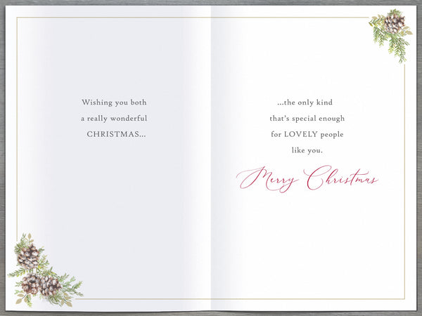 To both of you Christmas card - classic robins