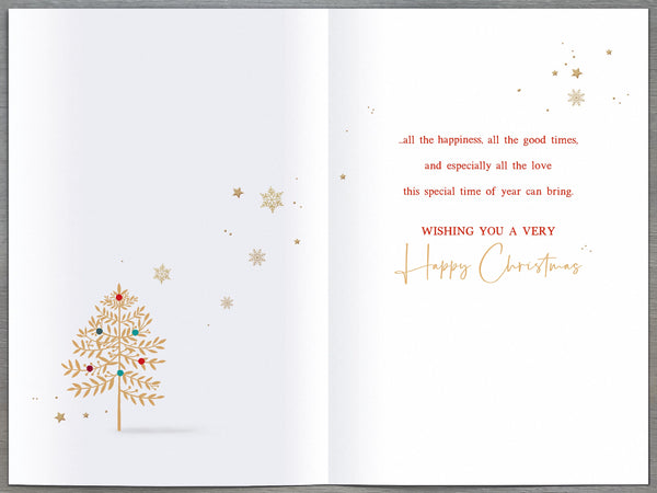 Grandson Christmas card - winter wonderland