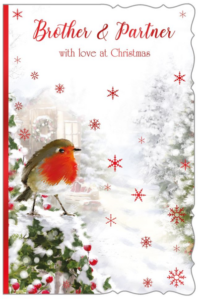Brother and Partner Christmas card - Xmas robin