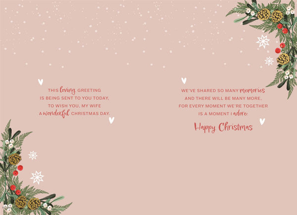 Wife Christmas card- Snow globe