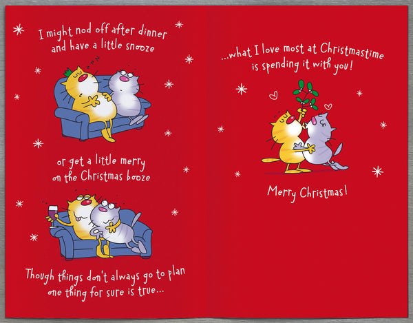Wife Christmas card - funny