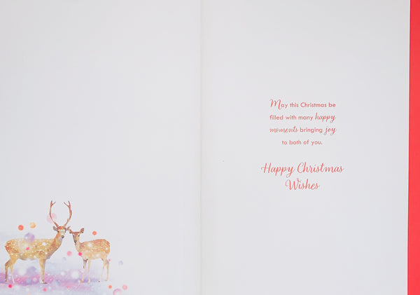 Sister and Brother-in-law Christmas card- reindeer