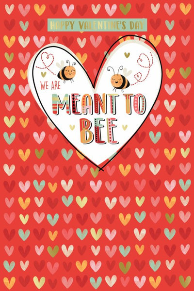 Valentine’s Day card - meant to bee