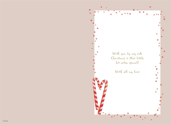 Wife Christmas card - cute penguins